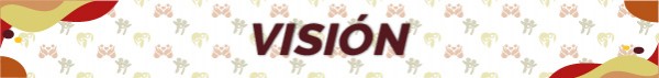 VISION