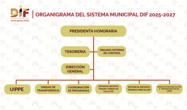 Organigrama 1