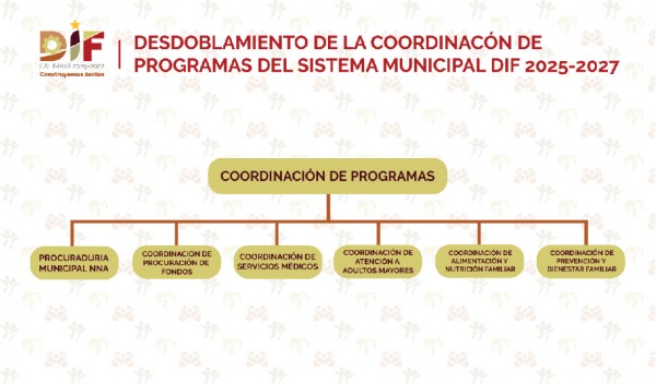 Organigrama 2